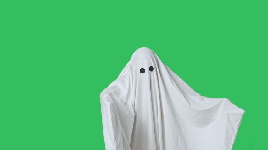 Shutterstock Video