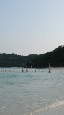 sticks in the sea on a paradise beach in vertically