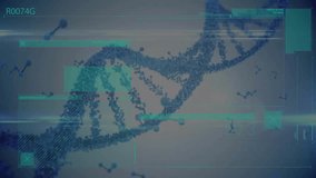Animation of scientific data processing over human skeleton and dna strand. Global science, connections, computing and data processing concept digitally generated video. - Powered by Shutterstock - Get 15% off with code: PIKWIZARD15