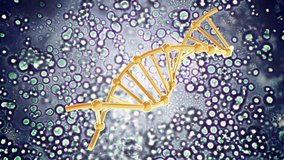 DNA,Conceptual rotating of a three-dimensional dna helix molecule on futuristic,chemical structural formulas Health care and science Medical innovation loop background design. Geometric abstract.3D - Powered by Shutterstock - Get 15% off with code: PIKWIZARD15