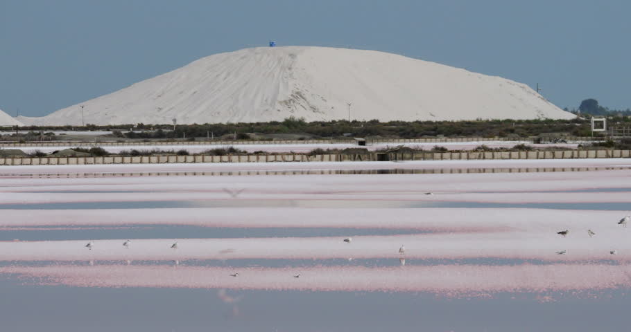 The Salt Marshes Of Aigues-Mortes, Gard department, Occitanie in France