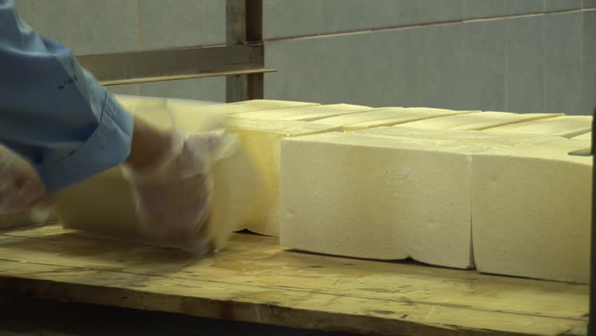 Plant for the production of cheese. Cheese spread on a table