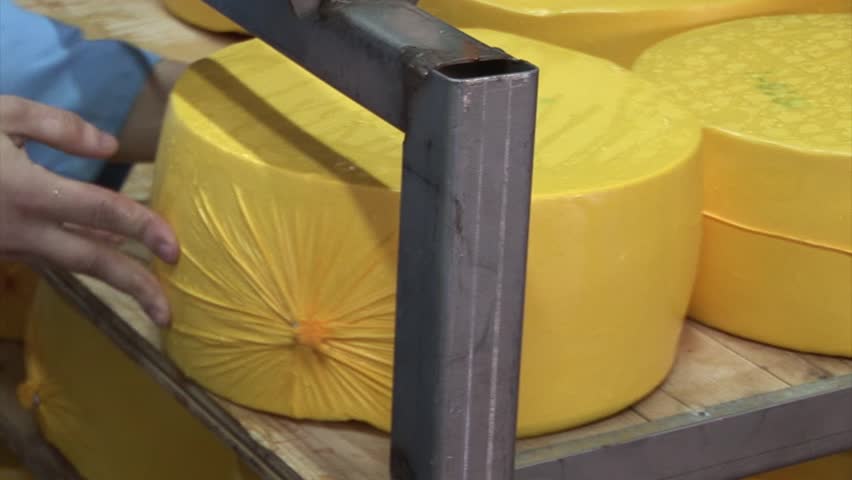 Plant for the production of cheese. cheese packaging