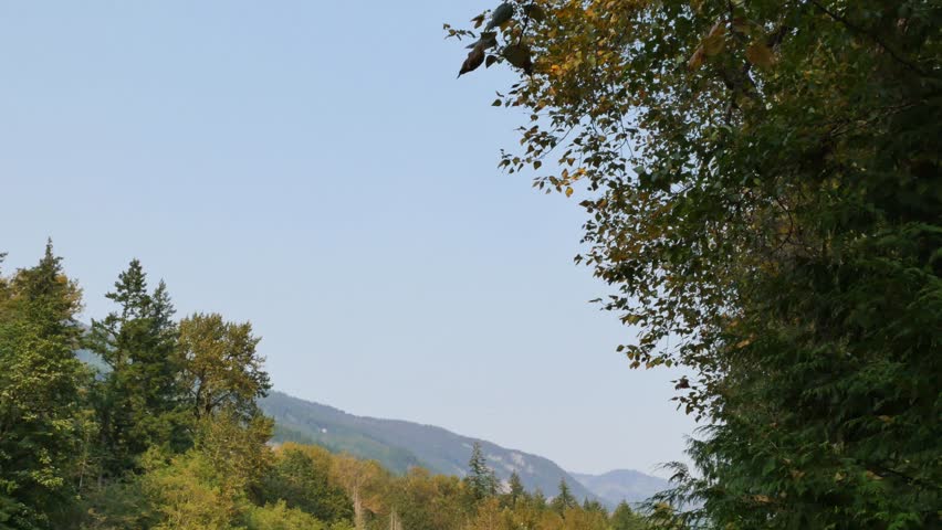 Chilliwack River (tilt down) during a summer season in Chilliwack, British Columbia, Canada