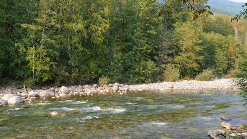 Chilliwack River during a summer season in Chilliwack, British Columbia, Canada
