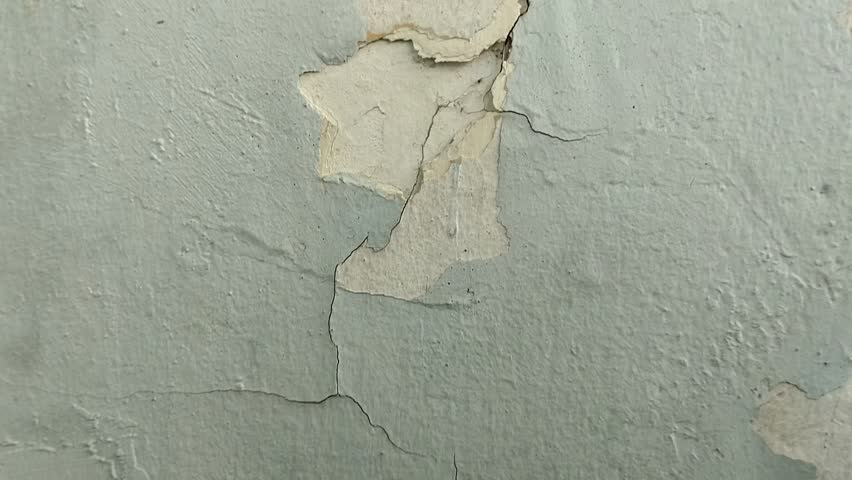 wall paint that is peeling because the wall is damp