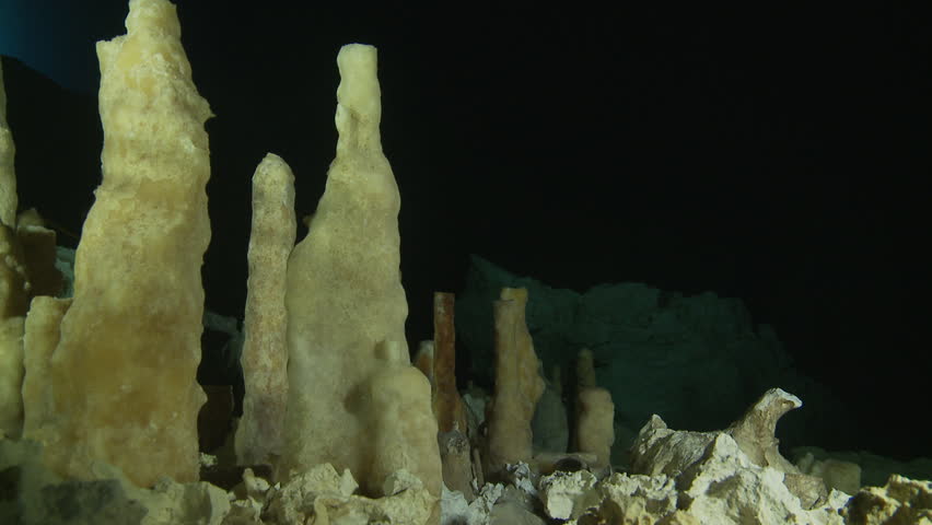 Stalagmites rise from the depths in the waters of Mexican cenotes, showcasing natural underwater formations. Filmed underwater. Check my portfolio for more cenote footage.