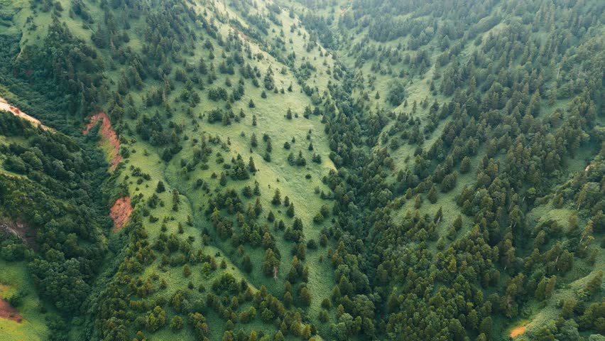Japanese summer high mountain landscape