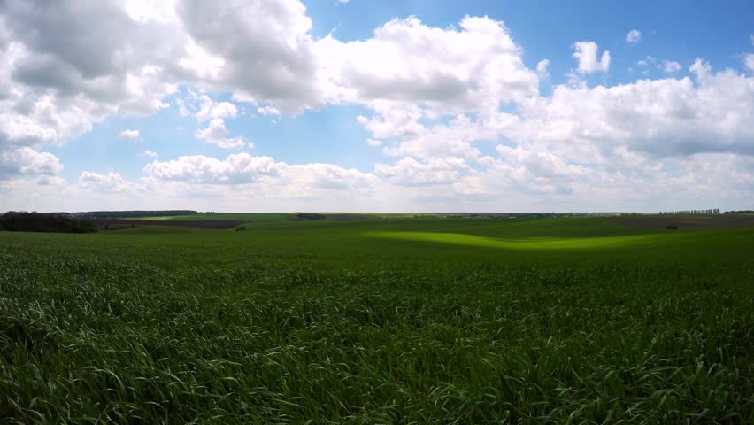 Shadows from the clouds run across the green field. Fantastic fluffy clouds. Ecology concept. Agrarian region Ukraine, Europe. Cinematic shot. Filmed UHD 4k video. Timelapse footage. Beauty of earth.