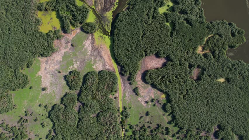 "Eber Lake, located within the borders of Afyon province in Turkey, is a natural wonder with its natural patterns, reeds, and wildlife. 