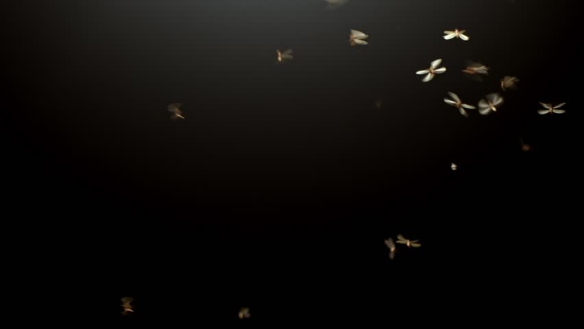 Creepy swarm of flying insects under a street light at night. Bugs swarming, real insect wildlife, or scary Halloween background.