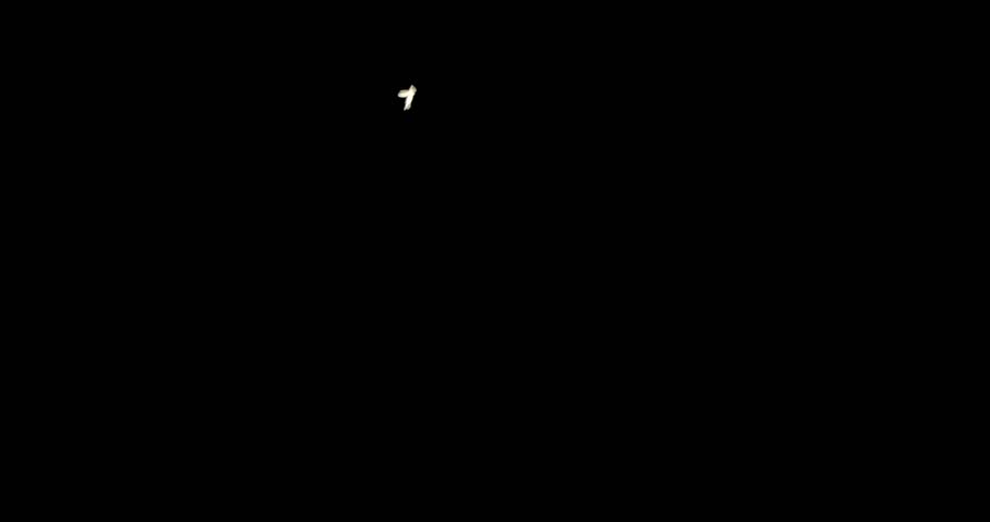 Creepy swarm of flying insects at night. Overlay of bugs swarming, real insect wildlife, or scary Halloween background. Seemless loop.