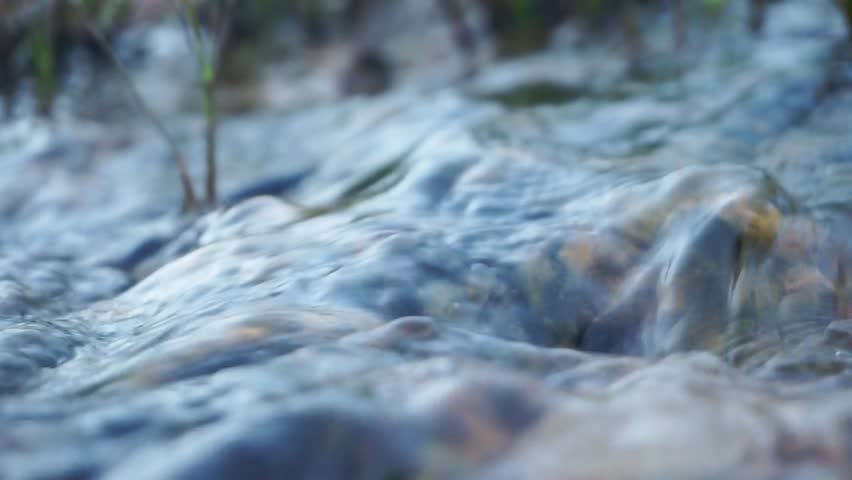 Shutterstock Video