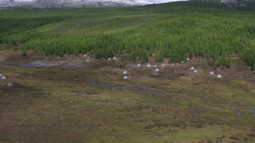 Mongolia wildlife, natural life, landscape, east,