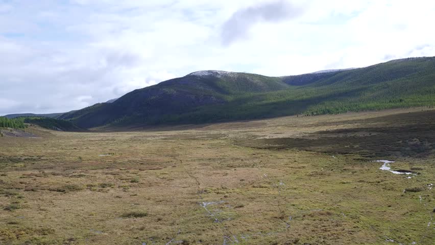 drone, valley, green, amazing landscape, Asia, outdoor, aerial shot, Mongolia, taiga, steppes, Russia