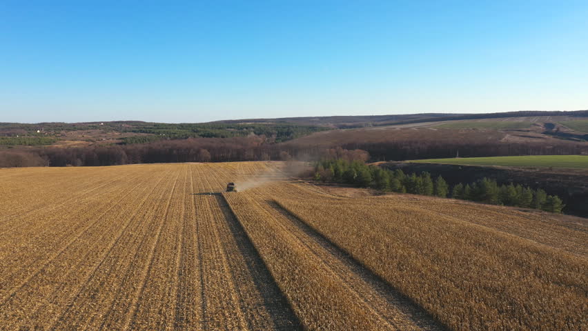 Flying over combine working on maize field at sunny day. Harvester gathering corn crop at meadow. Aerial shot of farmland during harvesting process. Beautiful countryside view at background. Slow mo