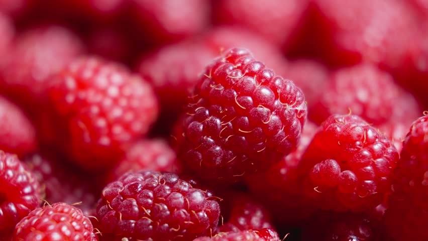 Juicy ripe berries rotating. Fresh raspberry fruits. Macro video. Juicy and delicious red berries. Organic food. Healthy concept. Vegetarian harvest. Close-up in 4K, UHD