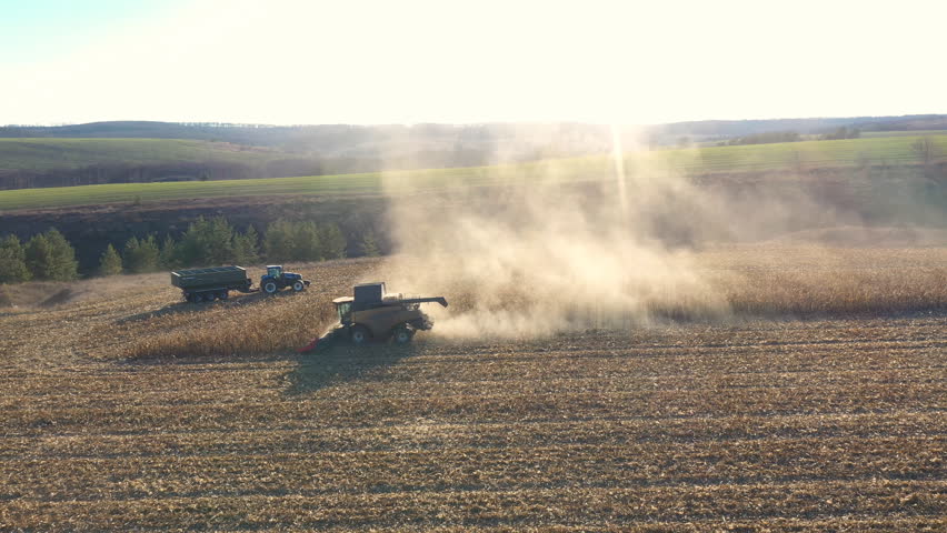 Aerial view of tractor transporting corn or wheat cargo at field during harvesting. Flying over agricultural machine driving through farmland with grain in trailer. Beautiful scenic countryside view
