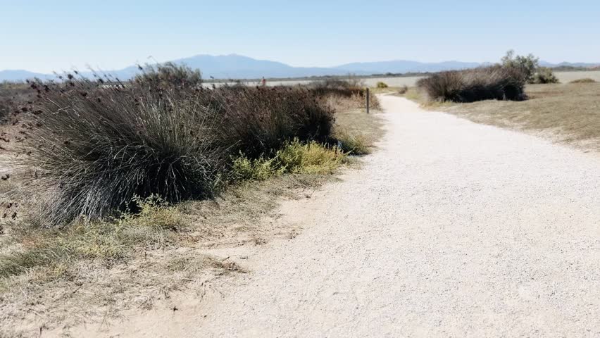 White sandy path to the lake.