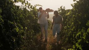 Silhouette of happy couple in vineyards during harvesting of wine grapes. Grape harvest. Young man and woman walk through vineyards with box of grapes at sunset - Powered by Shutterstock - Get 15% off with code: PIKWIZARD15