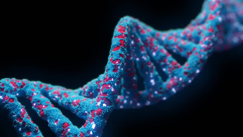 3D Close-up shot of DNA and strands active and crawling.