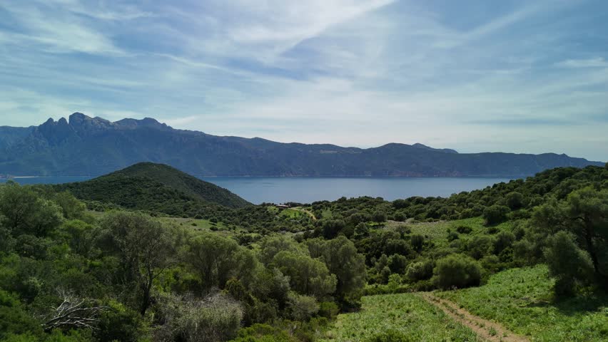 Exploring the tranquil landscapes and coastal views of Corsica on a sunny day