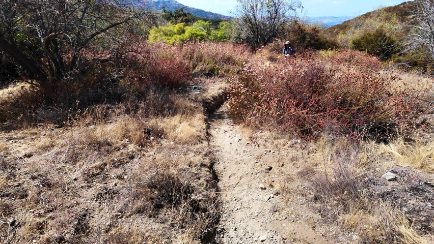 Hiking a Trail in a Chaparral Hilly Habitat looking at a Woman Exploring the area while hiking