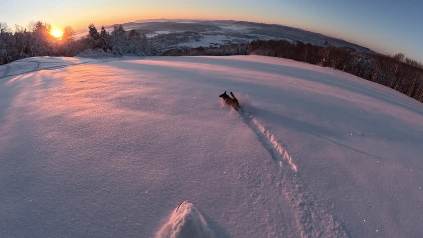 POV, FPV: Dog joyfully jumping through fresh snow at golden hour, with the sun setting over the snowy landscape. Snowboarder follows his active brown doggo as they enjoy descending down the mountain.