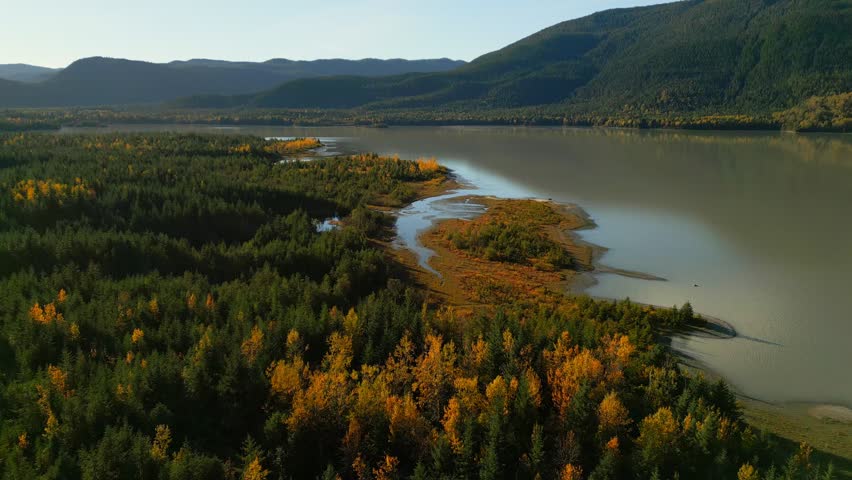 Beautiful Fall Foliage Overhead at Mendenhall Lake in Juneau Alaska. Autumn Leaf Change in Mostly Evergreen Natural Forest on Beautiful Water with Mountain in Background. 4k Drone Aerial Footage 