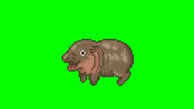 Cute hippo, animal pixel art animation - Powered by Shutterstock - Get 15% off with code: PIKWIZARD15