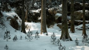 A tranquil winter forest features tall trees blanketed in snow, while small evergreen shrubs peek through the powdery ground beneath - Powered by Shutterstock - Get 15% off with code: PIKWIZARD15