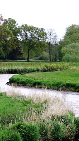 curvy river in a green landcape, vertical video
