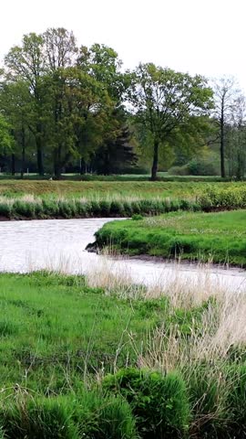 curvy river in a green landcape, vertical video
