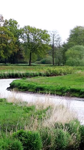 curvy river in a green landcape, vertical video
