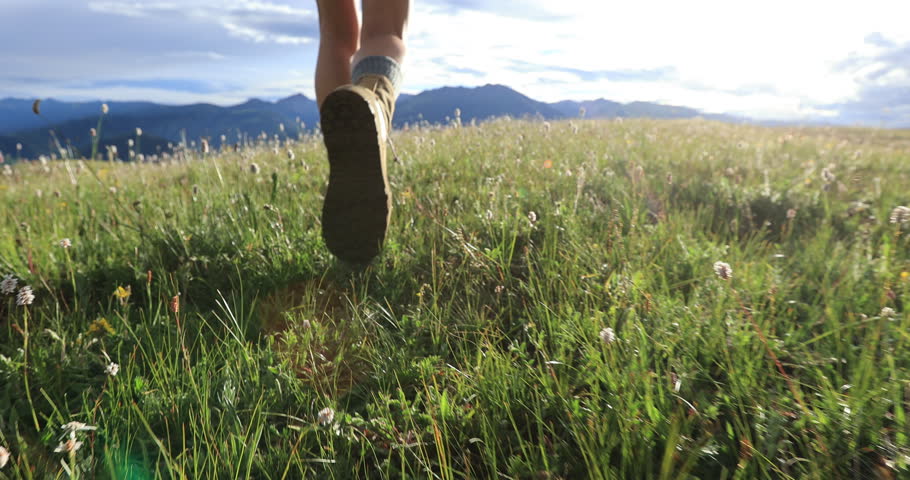Hiker legs wearing leather hiking boots walking on beautiful flowering grassland