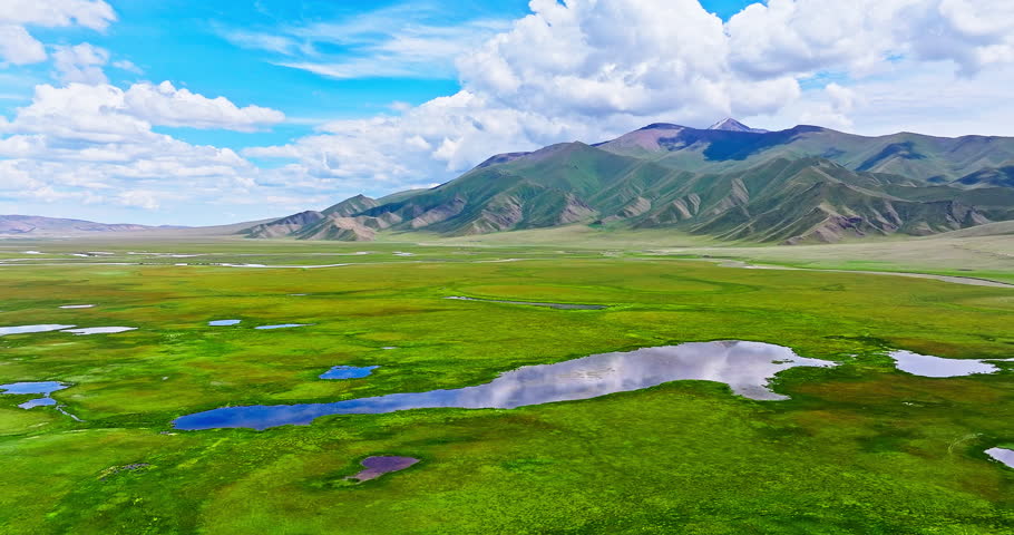 Green wetland park natural landscape in summer. Famous grassland pasture scenery in Xinjiang, China.