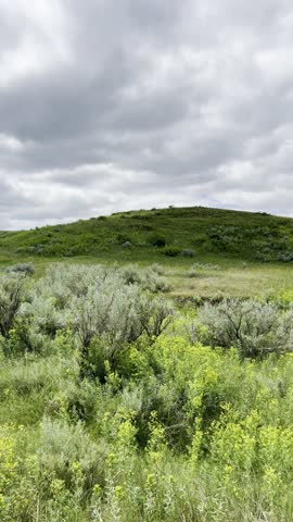 Landscape of Theodore Roosevelt National Park