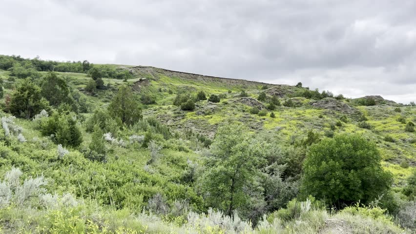 Lush Valley in Theodore Roosevelt National Park, North Dakota