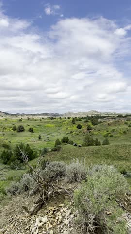 Lush Valley in Theodore Roosevelt National Park, North Dakota