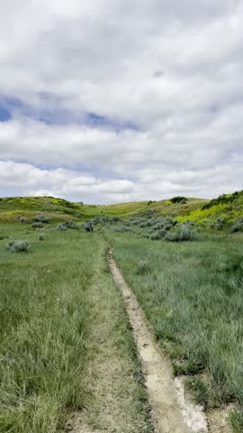 Lush Valley in Theodore Roosevelt National Park, North Dakota