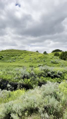 Lush Valley in Theodore Roosevelt National Park, North Dakota