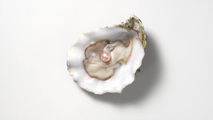 Pearl, One Natural pearl inside the oyster shell, close up, rotating over grey background. Nacre. Mother-of-pearl. Wealth concept. Top view, flat lay