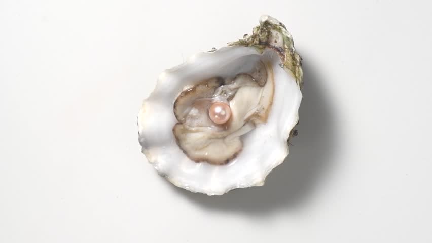 Pearl, One Natural pearl inside the oyster shell, close up, rotating over grey background. Nacre. Mother-of-pearl. Wealth concept. Top view, flat lay