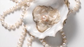 Pearls, One Natural pearl inside the oyster shell, close up, on white background. Nacre. Pearl necklace. Mother-of-pearl. Jewellery. Wealth concept. Rotating background, top view.  - Powered by Shutterstock - Get 15% off with code: PIKWIZARD15