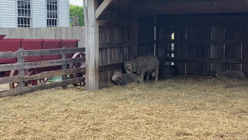 Americana at Greenfield Village, MI
