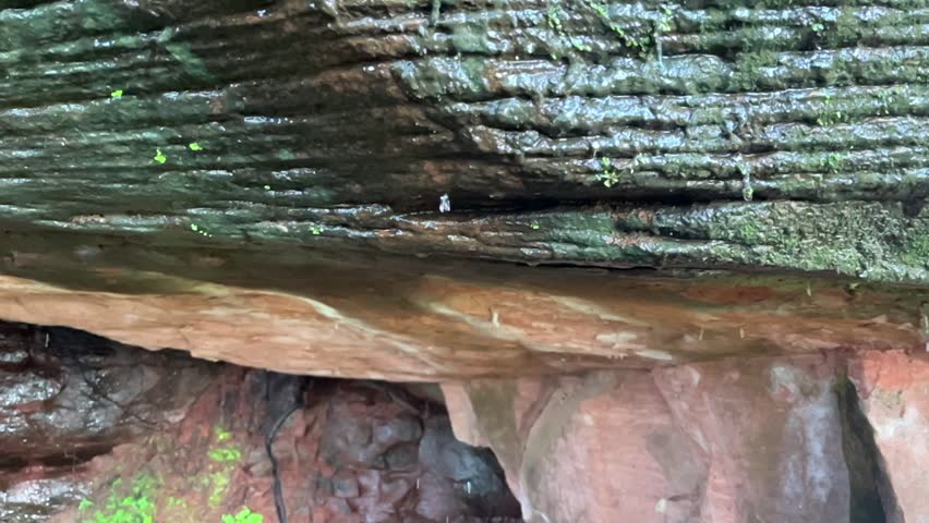 water droplets gently falling from a rock ledge in a natural cave setting. The rocks are covered in moss and moisture, giving a sense of tranquility and the passage of time, slow motion