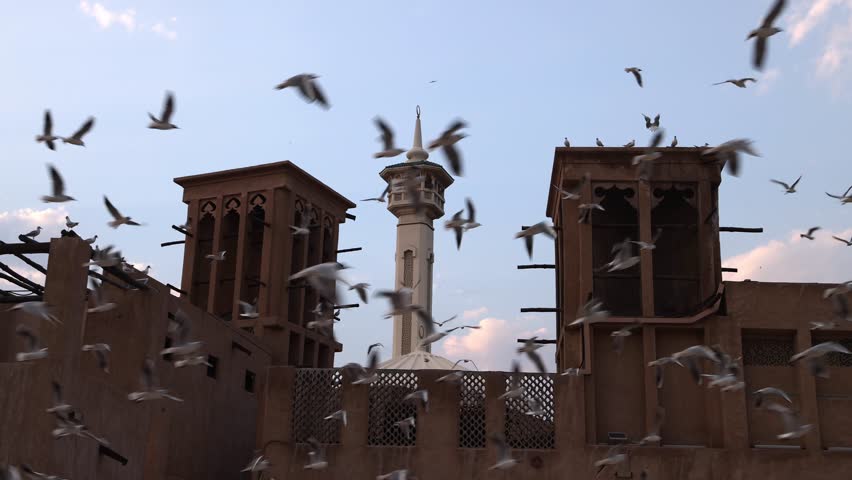 Flock of seagulls flying around mosque in slow motion in Dubai. High quality 4k footage.