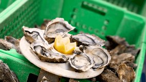 Oysters and lemon in green basket - Powered by Shutterstock - Get 15% off with code: PIKWIZARD15