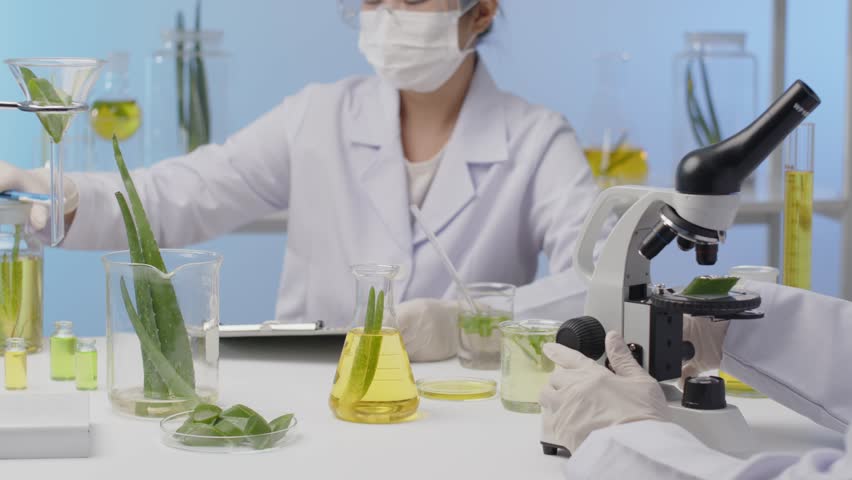 A scientist is observing aloe vera under a microscope, while another scientist is reaching an extraction flask containing aloe slices to observe and note, ensuring a comprehensive aloe lab scene.