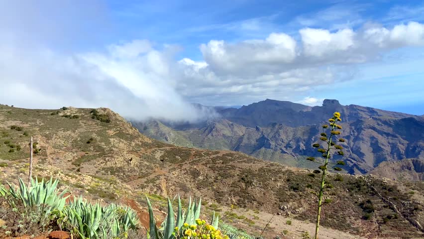 Beautiful view of Teno Alto volcanic landscape with Agave americana or Century plants growing wild in Tenerife,Canary Islands, Spain.Travel concept,4k